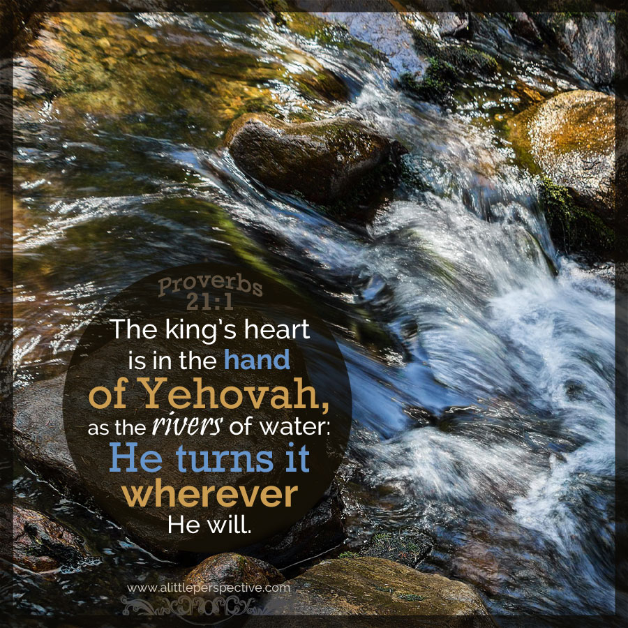 Pro 21:1 | scripture pictures at alittleperspective.com