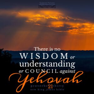 Pro 21:30 | Scripture Pictures @ alittleperspective.com