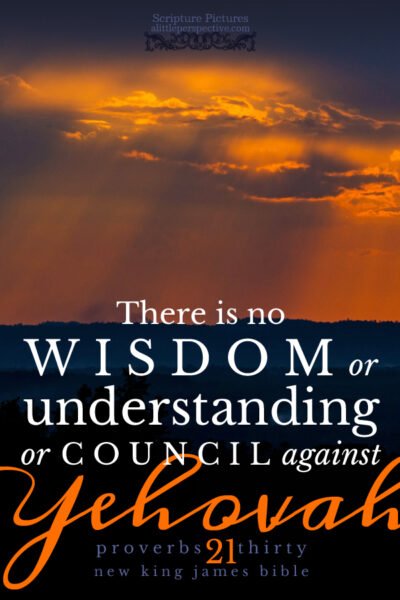 Pro 21:30 | Scripture Pictures @ alittleperspective.com