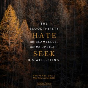 Pro 29:10 | Scripture Pictures @ alittleperspective.com