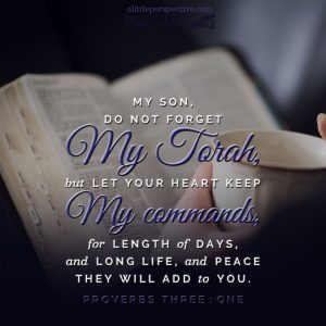 Pro 3:1 | scripture pictures at alittleperspective.com