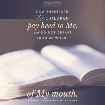 December 05 Bible Reading