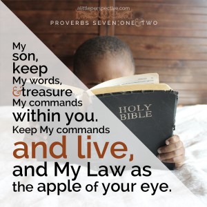 Pro 7:1-2 | scripture pictures at alittleperspective.com