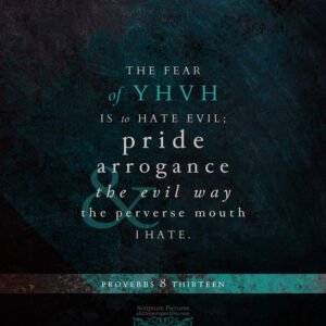 Pro 8:13 | Scripture Pictures @ alittleperspective.com