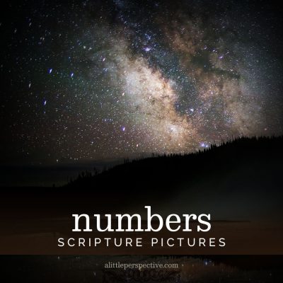 Numbers Scripture Pictures