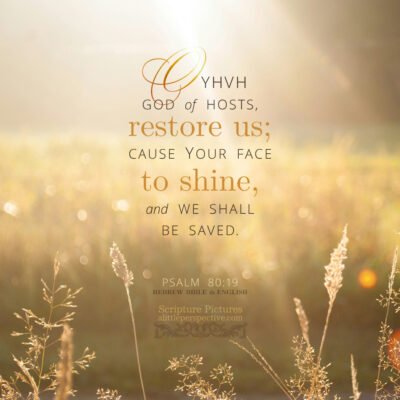 psalm 80 patterns