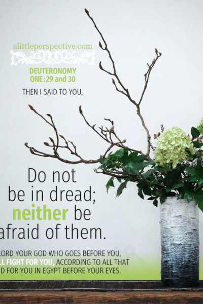 Deu 1:29 | Scripture Pictures @ alittleperspective.com