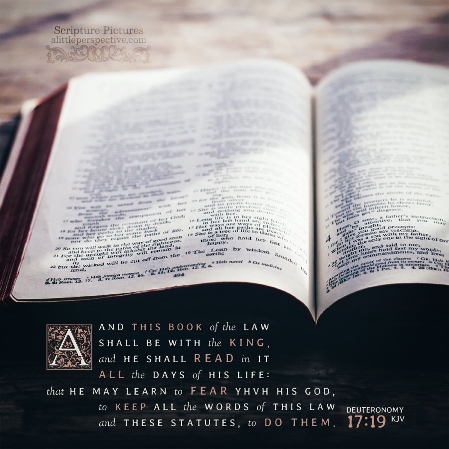Deu 17:19 | Scripture Pictures @ alittleperspective.com