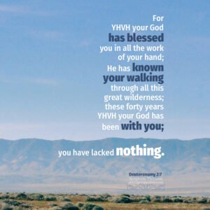 Deu 2:7 | Scripture Pictures @ alittleperspective.com