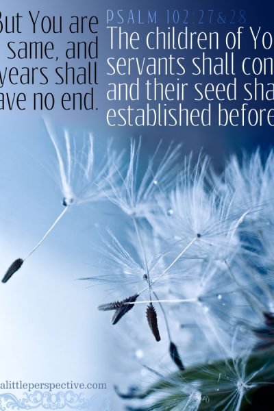 Psa 102:27-28 | scripture pictures at alittleperspective.com