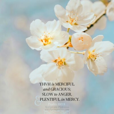 Psa 103:8 | Scripture Pictures @ alittleperspective.com