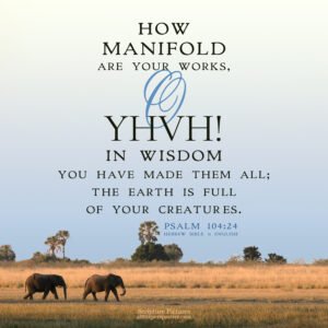 Psa 104:24 | Scripture Pictures @ alittleperspective.com