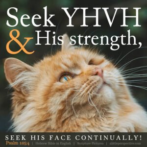 Psa 105:4 | Scripture Pictures @ alittleperspective.com