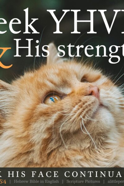 Psa 105:4 | Scripture Pictures @ alittleperspective.com