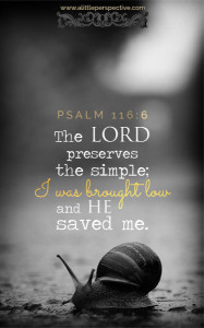 Psa 116:6 cell wallpaper | scripture pictures at alittleperspective.com