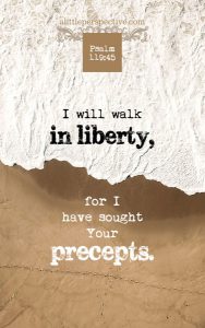 Psa 119:45 cell wallpaper | scripture pictures at alittleperspective.com