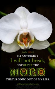 Psa 89:34 cell wallpaper | scripture pictures at alittleperspective.com