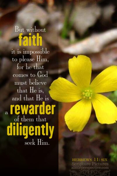 Heb 11:6 | Scripture Pictures @ alittleperspective.com
