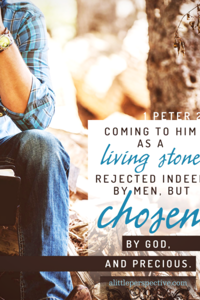 1 Pet 2:4 | Scripture Pictures @ alittleperspective.com