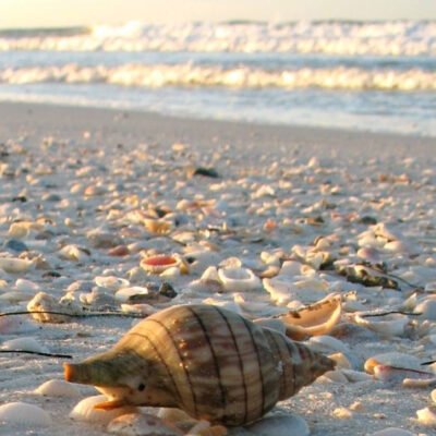 Anna Maria Island Sunrise