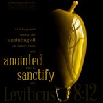 Lev 8:12 | scripture pictures at alittleperspective.com