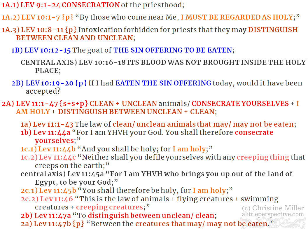Lev 9:1-11:47 shemini chiasm | christine's bible study at alittleperspective.com