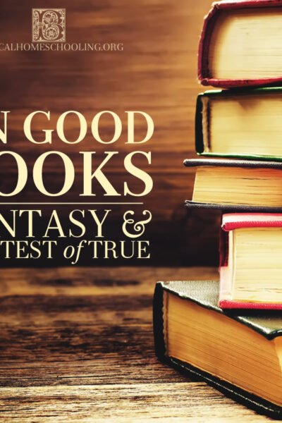 On Good Books: Fantasy and the Test of True | alittleperspective.com