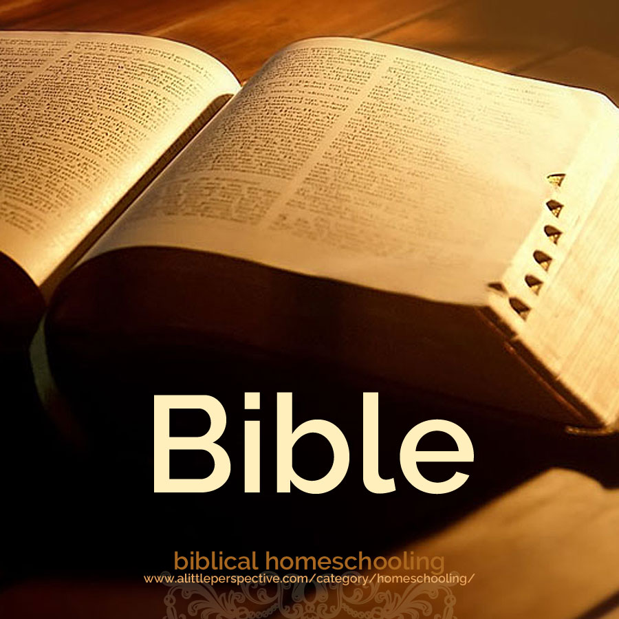 bible | biblical homeschooling at alittleperspective.com