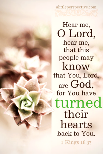 1 Kin 18:37 | Scripture Pictures @ alittleperspective.com