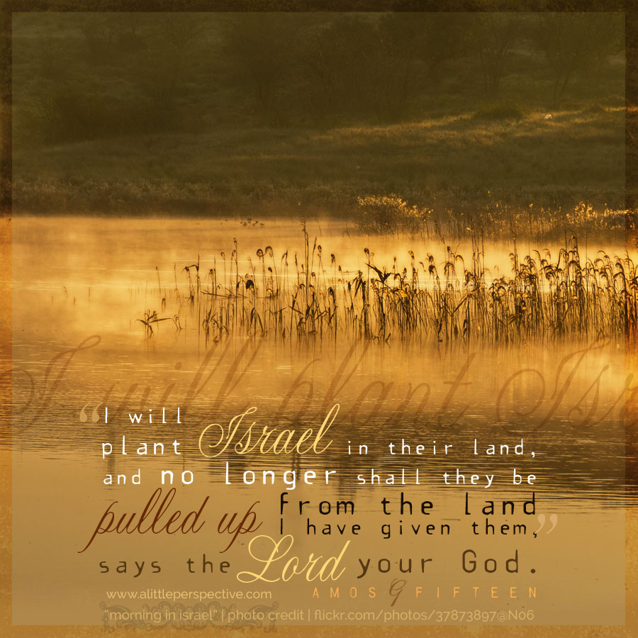 Amo 9:15 | scripture pictures at alittleperspective.com