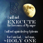 Hos 11L9 | scripture pictures at alittleperspective.com