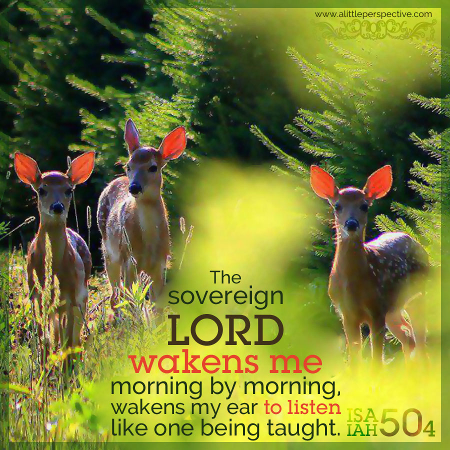 Isa 50:4 | scripture pictures at alittleperspective.com