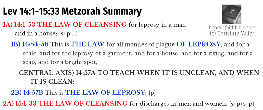 Lev 14:1-15:33 Metzorah Chiasm Summary | hebraicfaithbible.com
