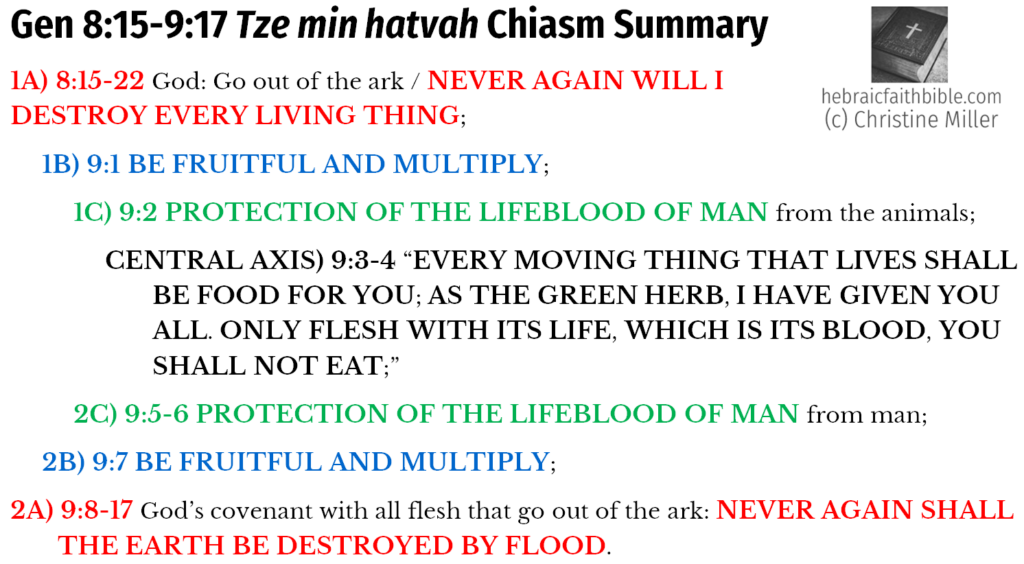 Gen 8:15-9:17 Tze min hatvah Chiasm | hebraicfaithbible.com