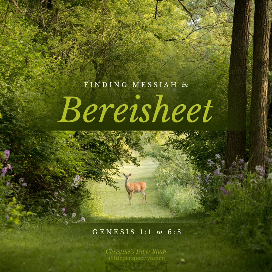 Finding Messiah in Bereisheet, Genesis 1:1-6:8 | Christine's Bible Study @ alittleperspective.com