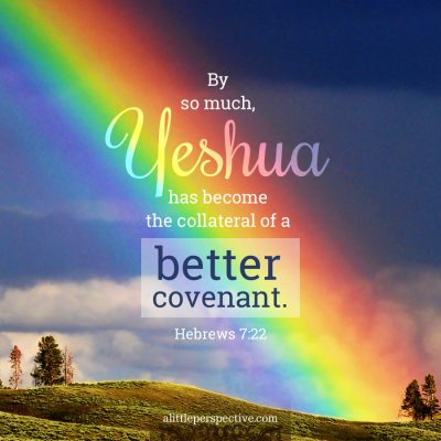 hebrews 7, our better hope