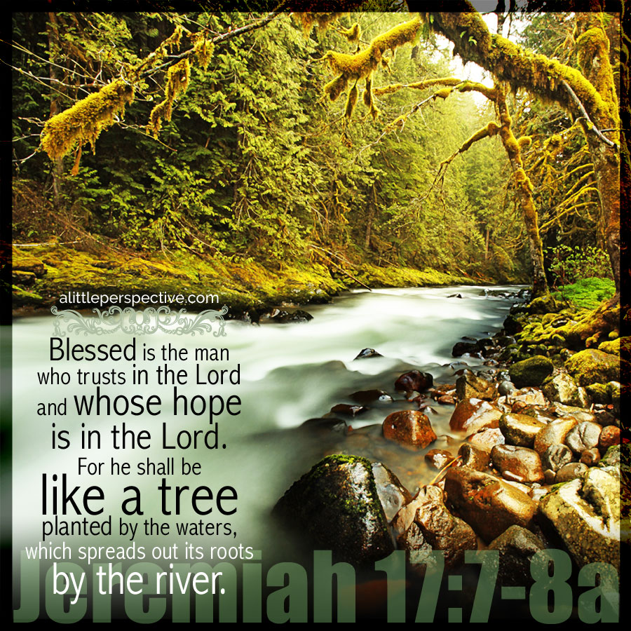 Jer 17:7-8a | scripture pictures at alittleperspective.com