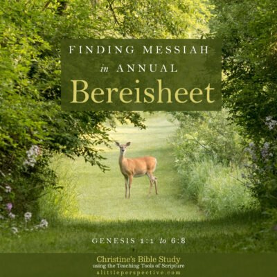 Finding Messiah in Bereisheet, Genesis 1:1-6:8