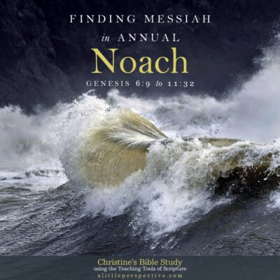 Finding Messiah in Noach, Genesis 6:9-11:32