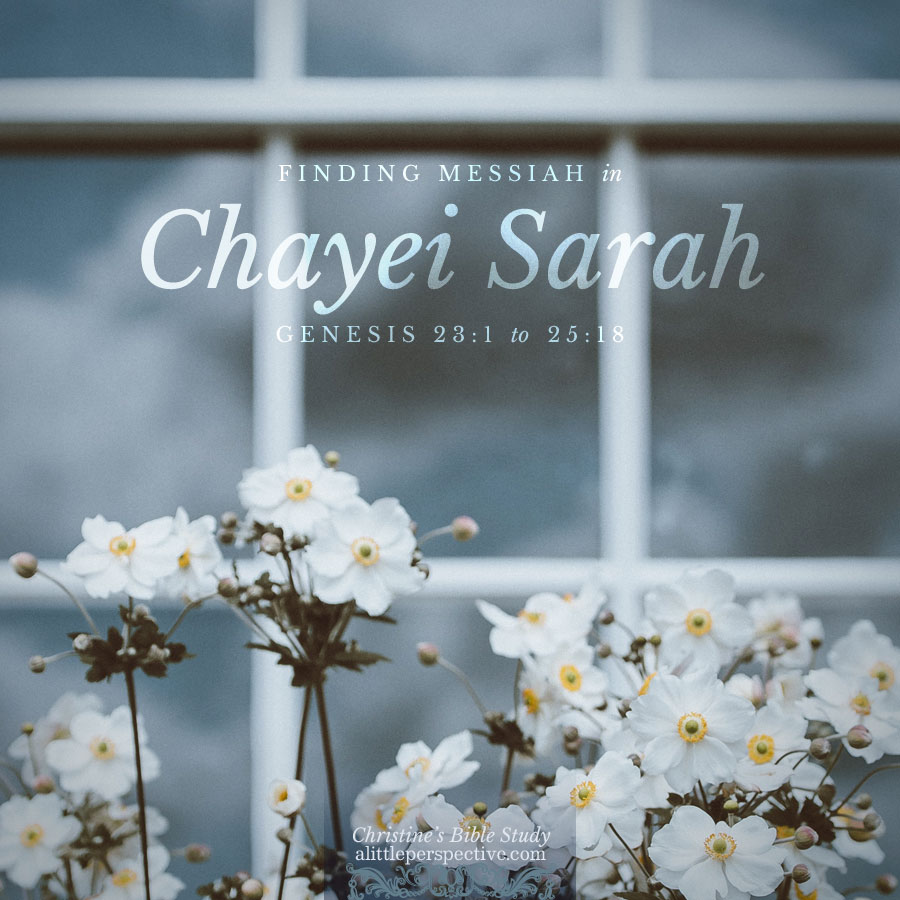 Finding Messiah in Chayei Sarah, Genesis 23:1-25:18 | Christine's Bible Study @ alittleperspective.com