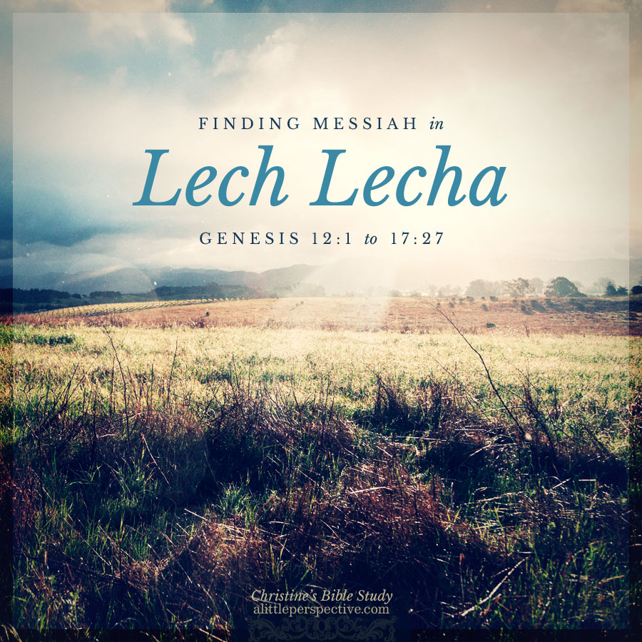 Finding Messiah in Lech Lecha, Genesis 12:1-17:27 | Christine's Bible Study @ alittleperspective.com