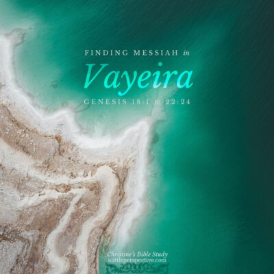 Finding Messiah in Vayeira, Genesis 18:1-22:24