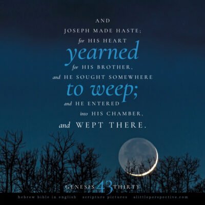 Genesis 41:1-44:17, Central Axis, The Love of the Father