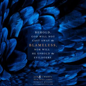 Job 8:20-21 | Scripture Pictures @ alittleperspective.com