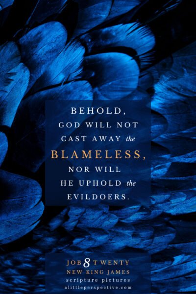 Job 8:20-21 | Scripture Pictures @ alittleperspective.com
