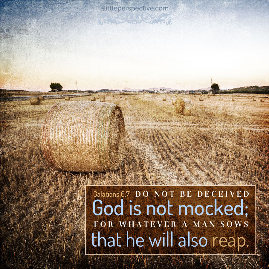 Gal 6:7 | scripture pictures at alittleperspective.com