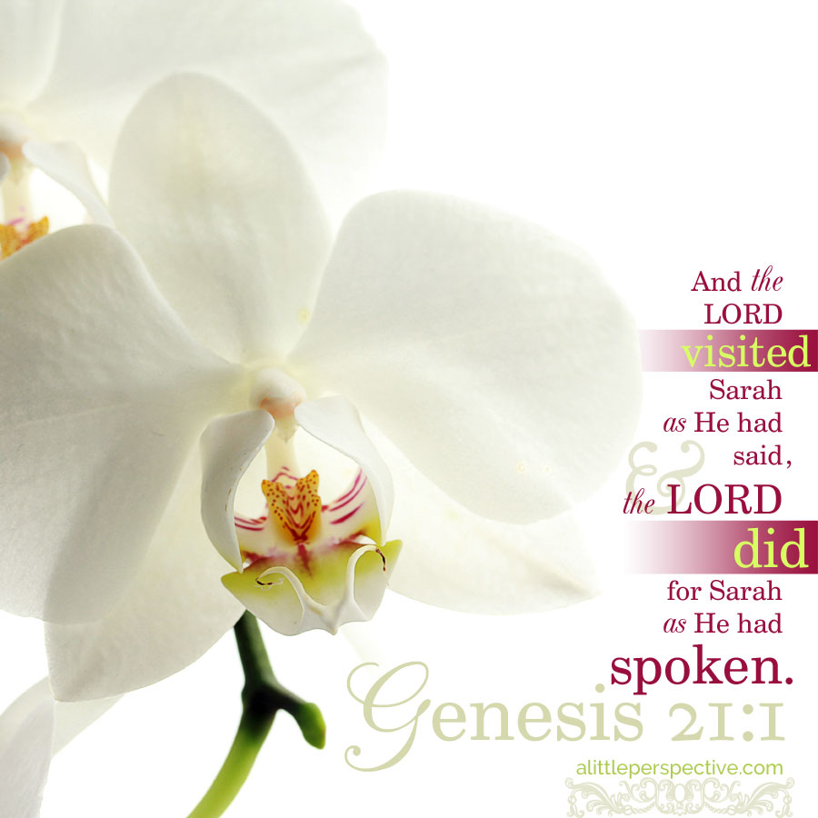 genesis 18:1-21:21, the promised seed prophesied and realized