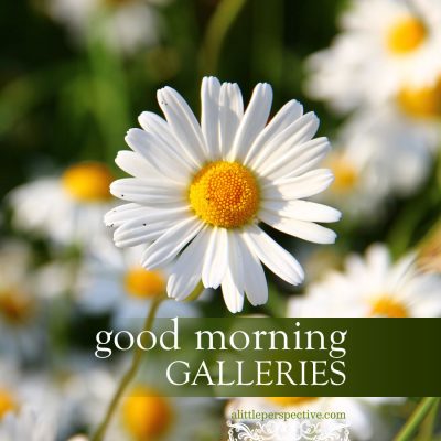 good morning galleries