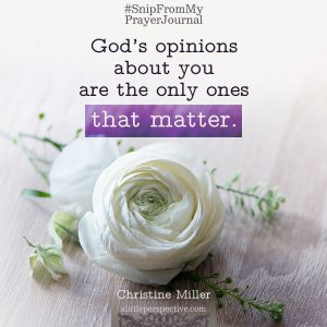 God's opinions | Christine Miller @ alittleperspective.com