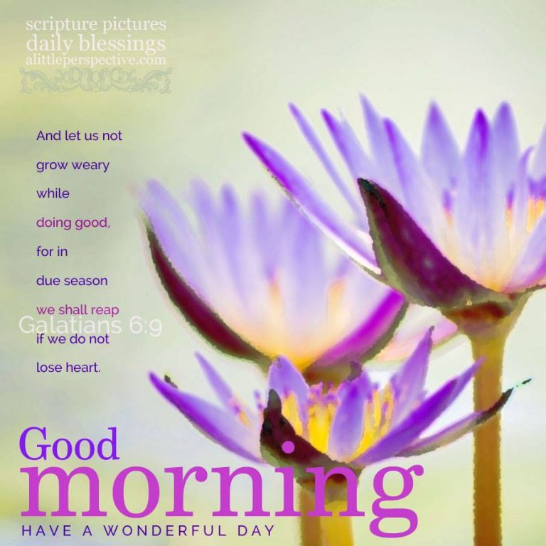 good morning purples